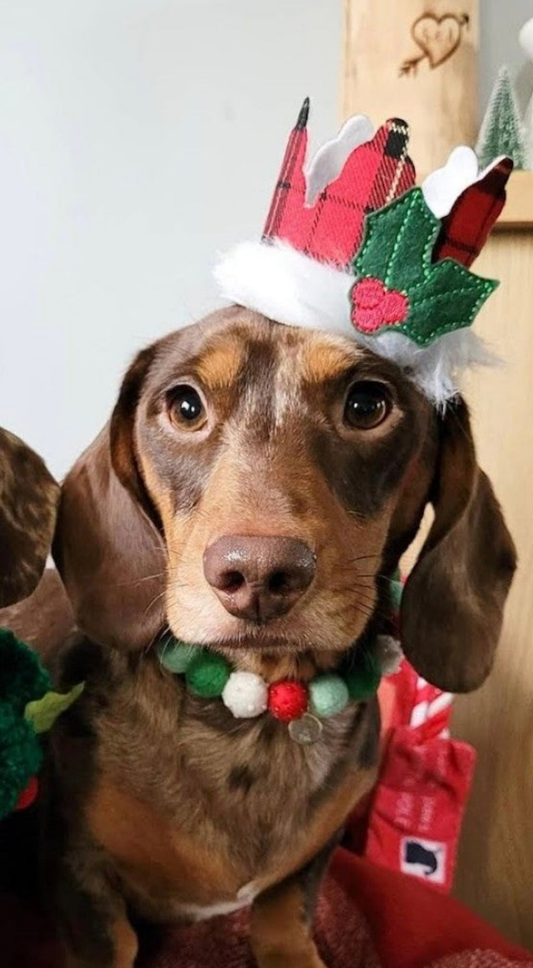 Tartan Holly crown