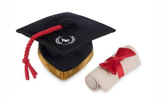 K9 scholar hat and diploma enrichment toy