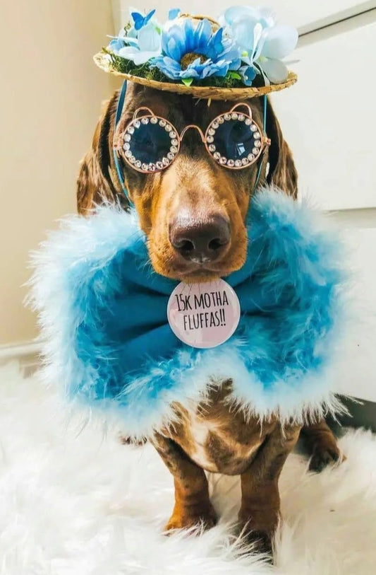 Pick your own slogan fluffy bowtie