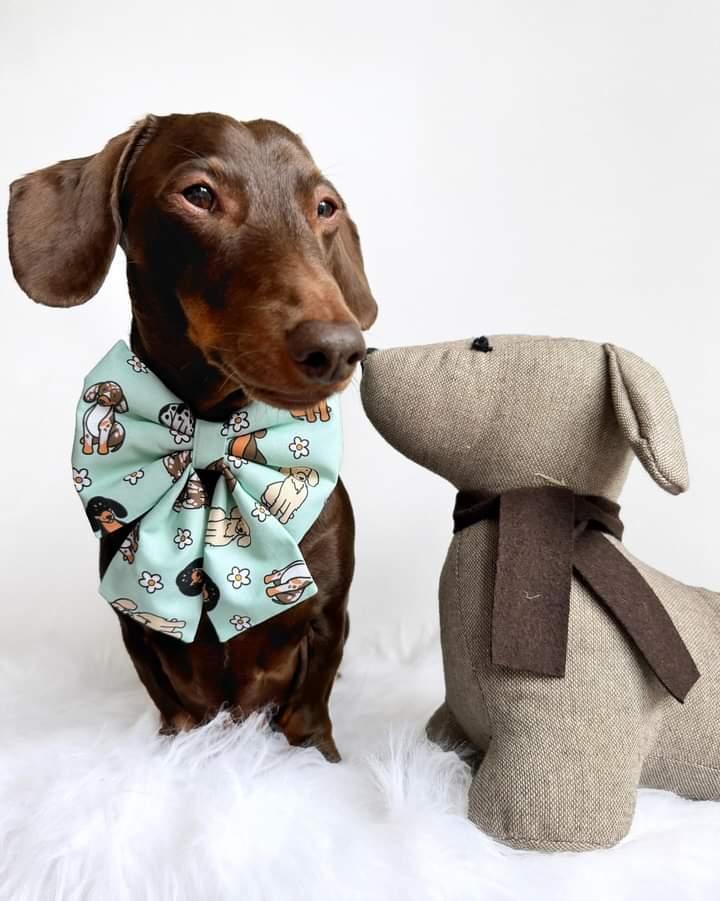 Dachshunds & daisies embroidered sailor/slogan sailor bow