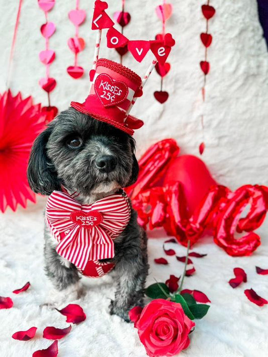 Kissing booth top hat