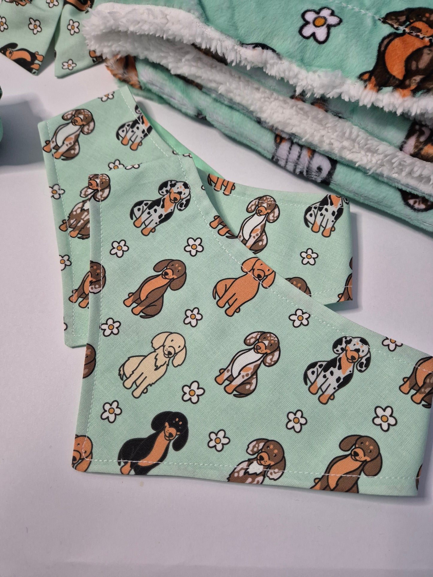 Dachshunds and daisies bandana